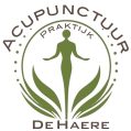 Logo Acupunctuurpraktijk De Haere in Doornspijk